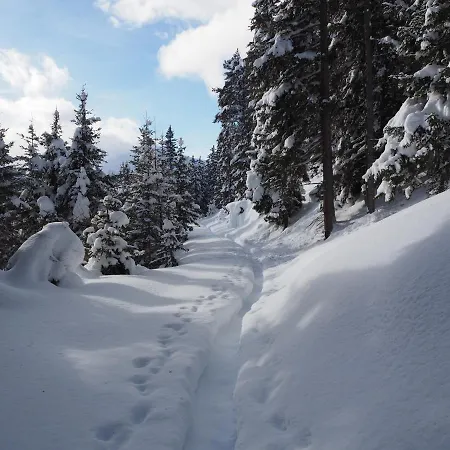 Haus Gabriel Apartment