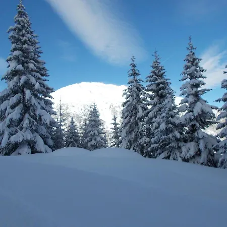 Haus Gabriel Apartment *