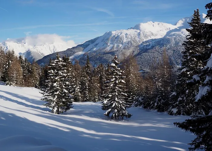 Haus Gabriel 公寓 *