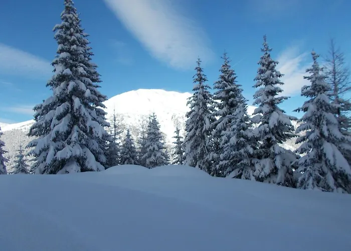 Haus Gabriel Apartment *